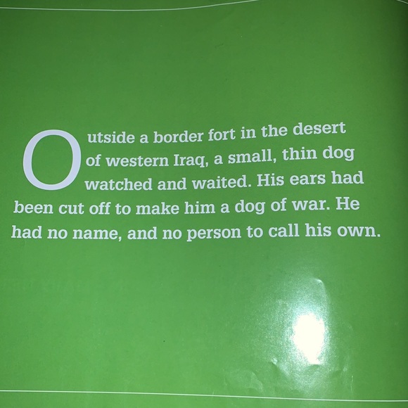 NUBS The True Story of a Mutt, Marine & a Miracle - Picture 4 of 10